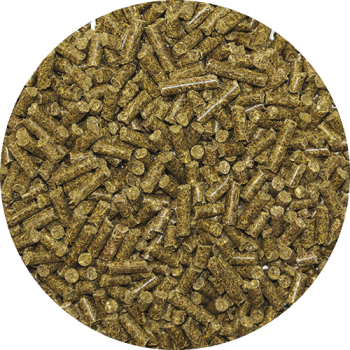 ADULT SPECIFIC ENERGY