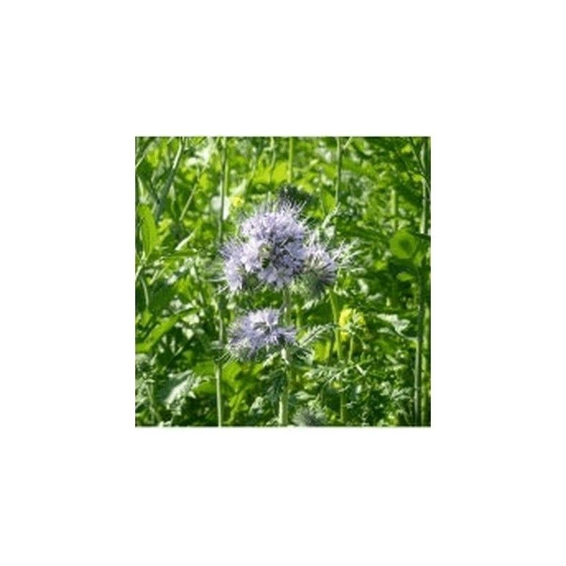 Mélange QUALI CIP'PROGEL