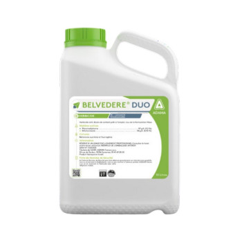 BELVEDERE DUO