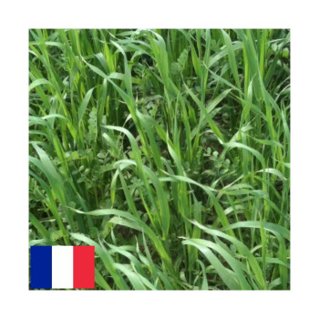 Mélange QUALI HERB' AUTOMNALE