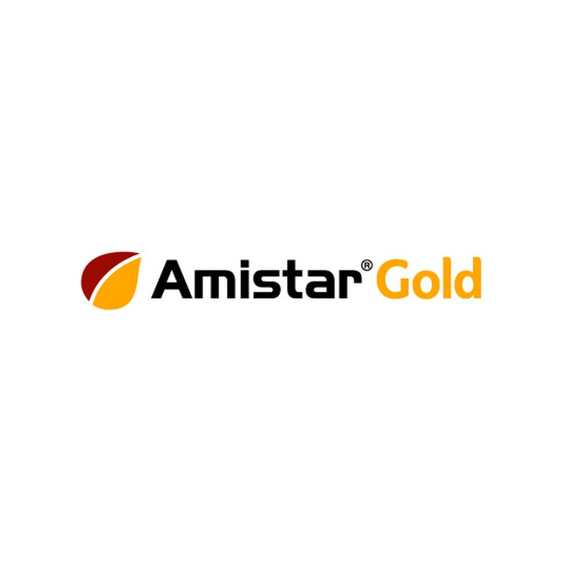 AMISTAR GOLD