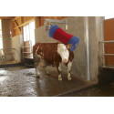 10582-Brosse complète Happycow MaxiSwing