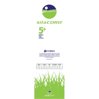 ENRUBANNAGE SILACORD