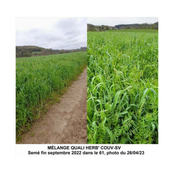 Mélange QUALI HERB' COUV-SV