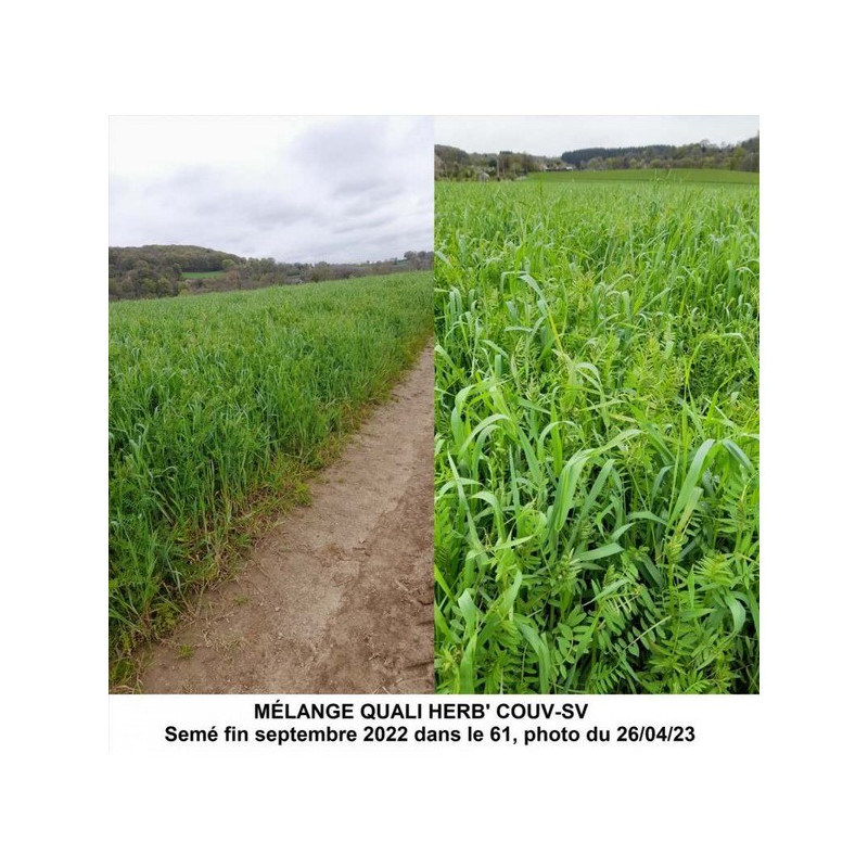 Mélange QUALI HERB' COUV-SV