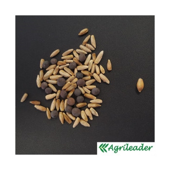 Mélange QUALI HERB' COUV-SV