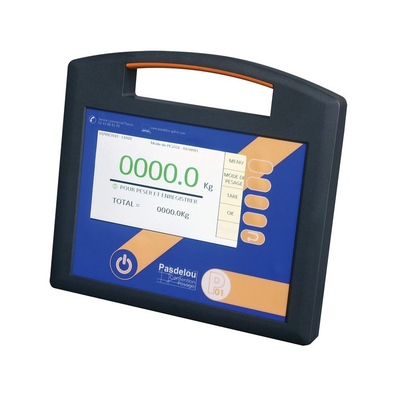 PACK INDICATEUR DE PESEE P01