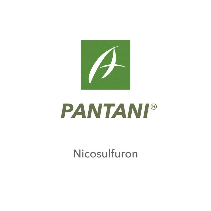 PANTANI