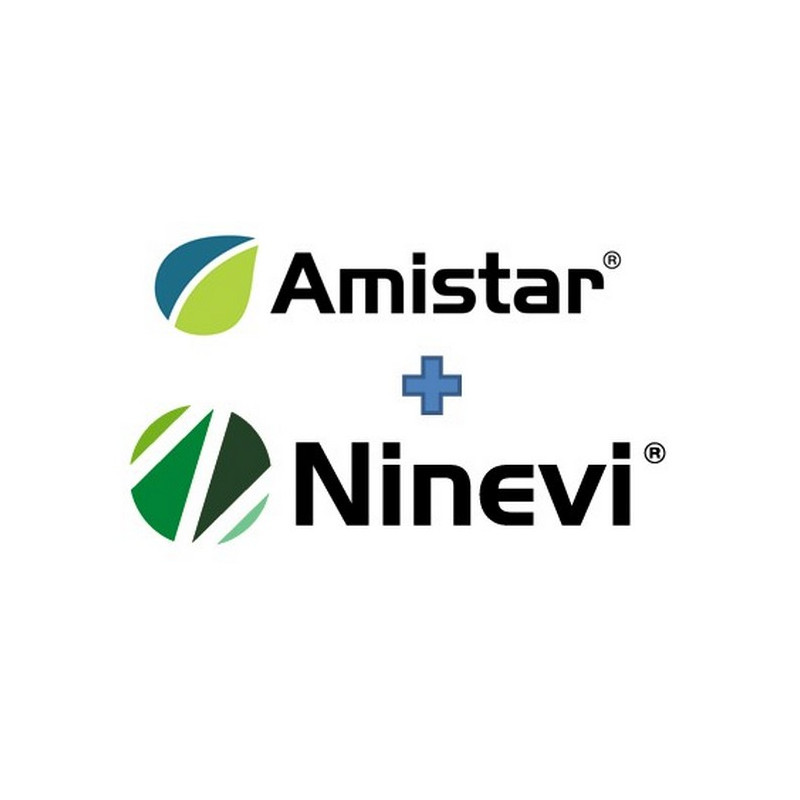 Pack DUO 12 AMISTAR + NINEVI