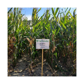 HUILE HYDRAULIQUE TRANS'HYDRO