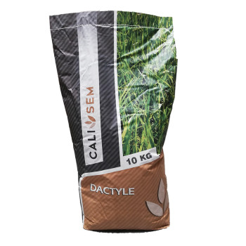 Dactyle très tardif LUMIX