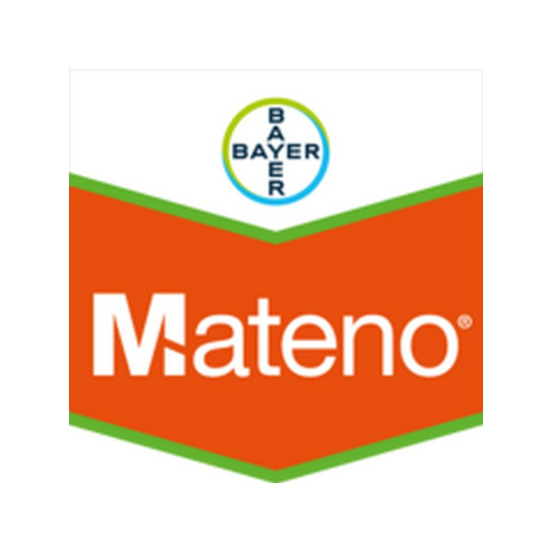 MATENO