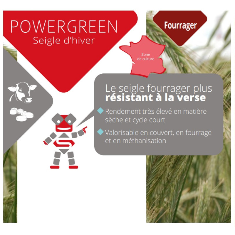 Seigle fourrager POWERGREEN