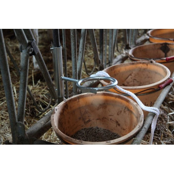 ANNEAU DE CONTENTION POUR VEAU