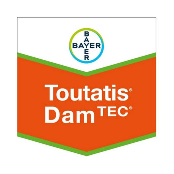 TOUTATIS DAMTEC