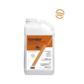 GONDOR