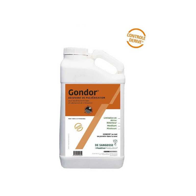 GONDOR
