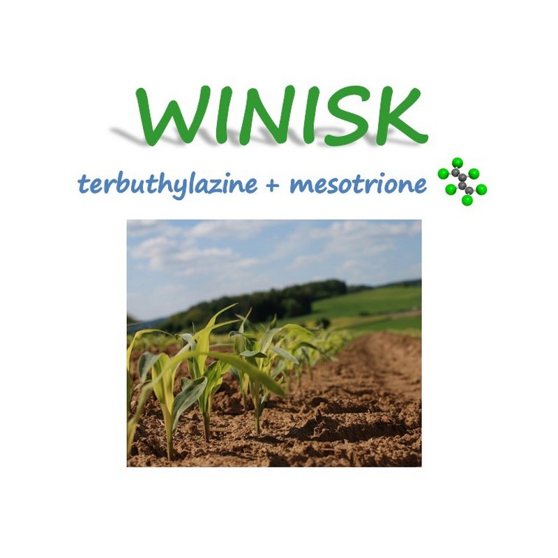 WINISK