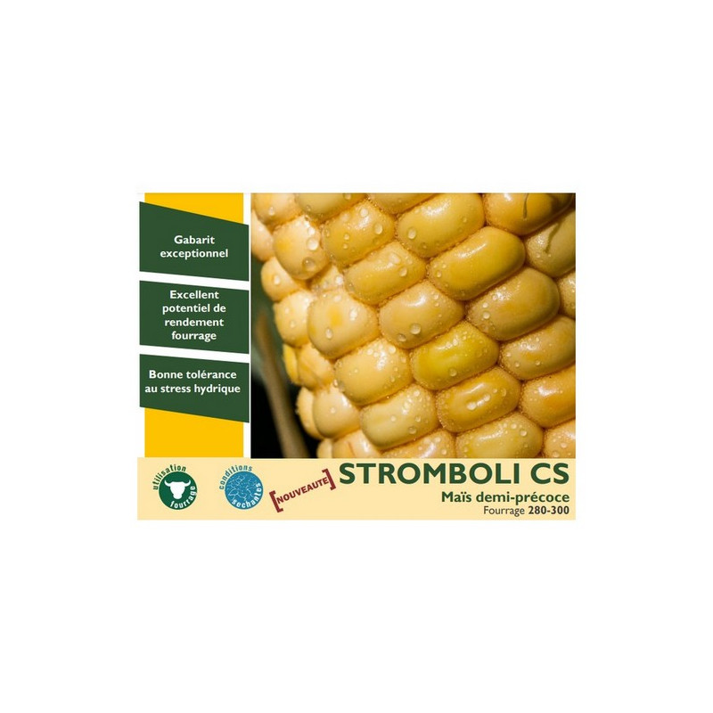 Maïs STROMBOLI CS indice 280