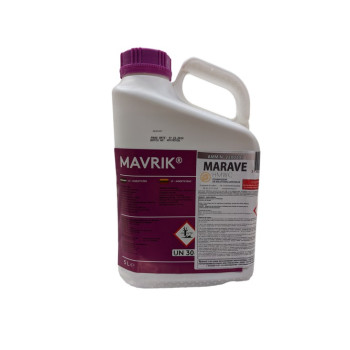 MARAVE