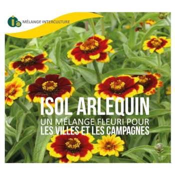 Mélange fleuri ISOL ARLEQUIN