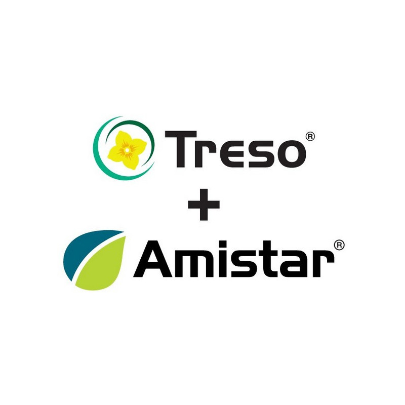 PACK TRESO + AMISTAR