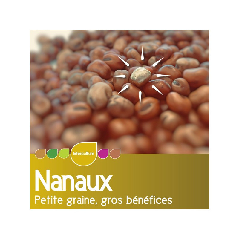 Féverole print. (petit PMG) NANAUX