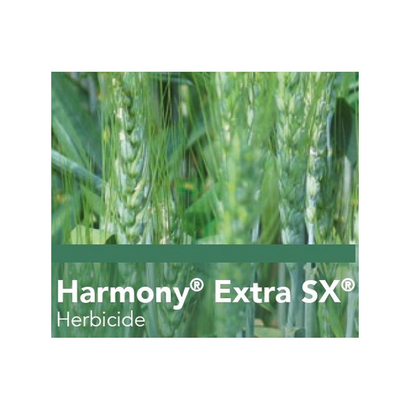 HARMONY EXTRA SX