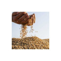 18488-Traité TMG - Big dose 12 M gr (Bigbag)