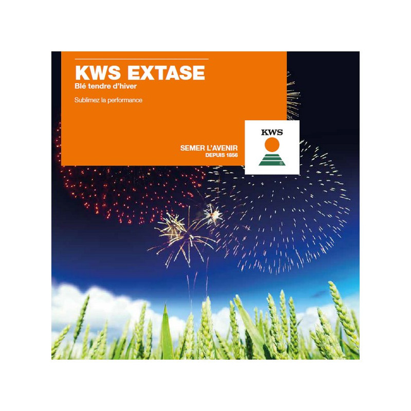 Blé KWS EXTASE 