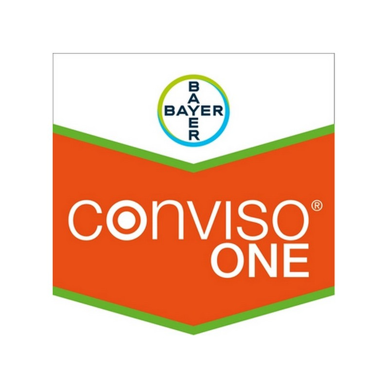 CONVISO ONE