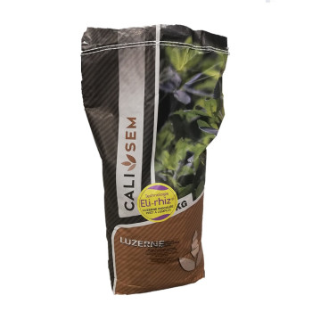 Luzerne Flamande ANDANTINO