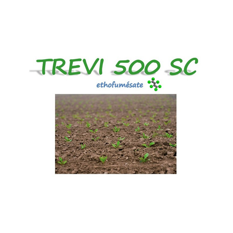TREVI 500 SC