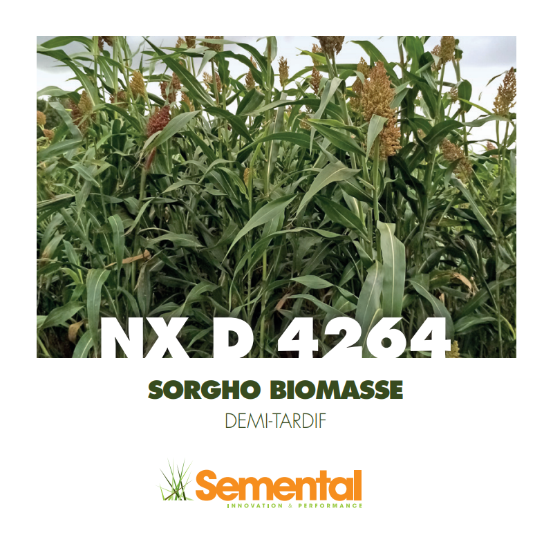 Sorgho Méthanisastion - NXD 4264