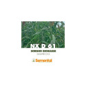 20058-Non traité - Dose 300 000 gr