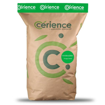 Trèfle incarnat VASCO