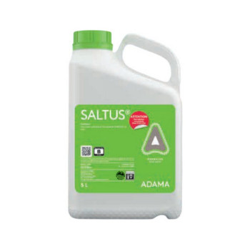 SALTUS
