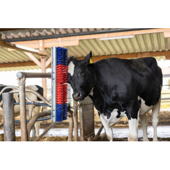 Brosse HAPPYCOW Bully