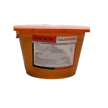 SEAU FLOR’ACTIV