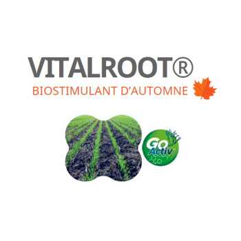 VITALROOT