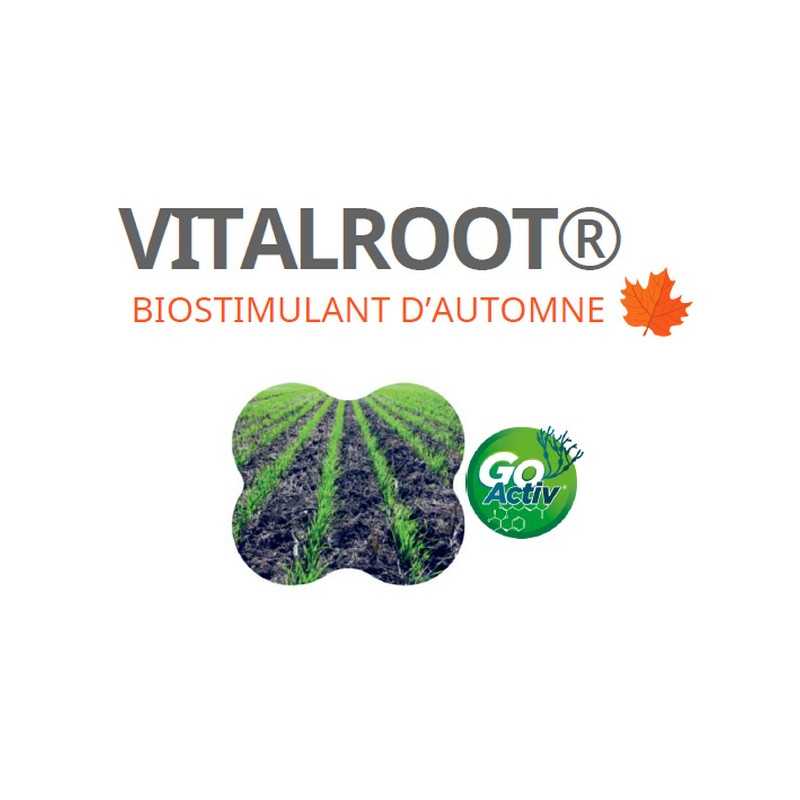 VITALROOT