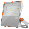 22720-Projecteur 50 Watts