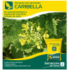 Moutarde blanche anti nématode CARIBELLA