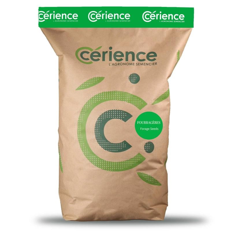 RGI 2N non-alternatif ATOLL, Ray-grass d'Italie