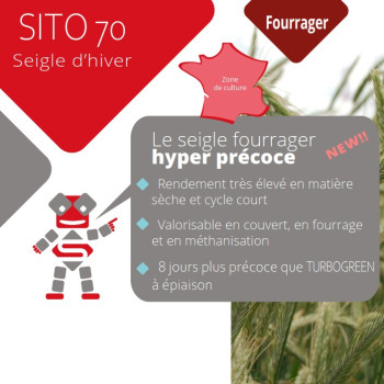 Seigle fourrager SITO 70