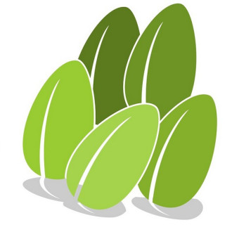 Triticale TRITIMIX 2026