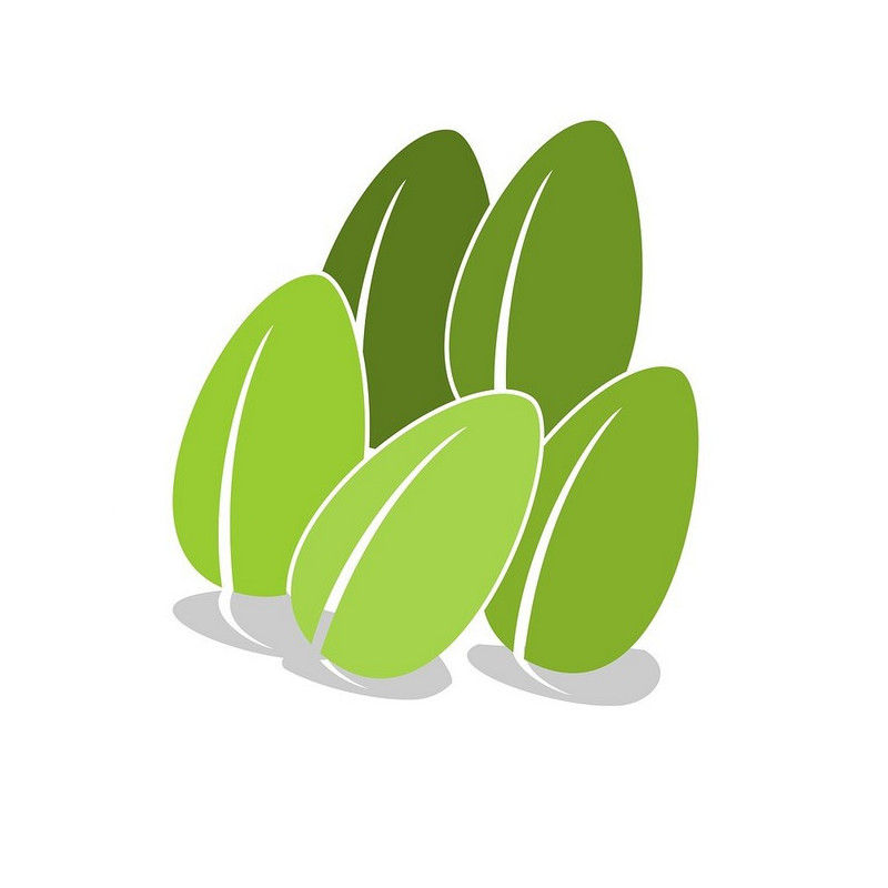 Triticale TRITIMIX 2026