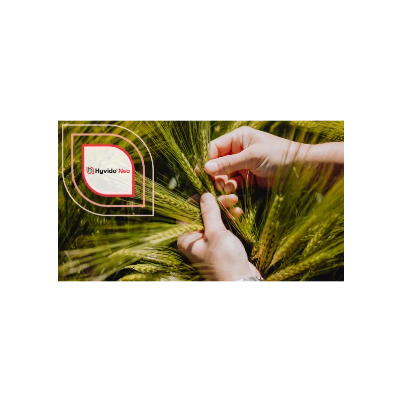 Orge hybride 6R SY ZOOMBA