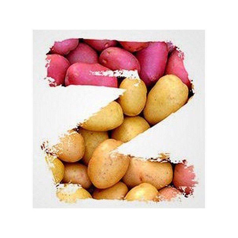 PACK ZORVEC ENICADE NCOZ