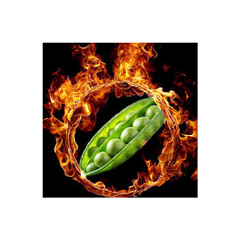 Pois print. KWS FLAM (BIO)